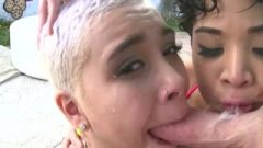 SWALLOWED AALIYAH AND HONEY GO A LITTLE CRAZY ON A DICK